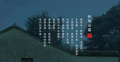 白露 | 露凝白，寒蟬鳴。鳴鴈來，玄鳥歸。夜寒日燥，陰氣積重。千里煙波，暮靄沈沈。白棉飽滿，柿子青澀。燈下適飲白露茶，殘荷池品白酒釀，一杯拂燥，兩杯明心，三杯忘歸。無事薰香，晴窗臨帖，揮麈閔吟，溫燈夜讀…