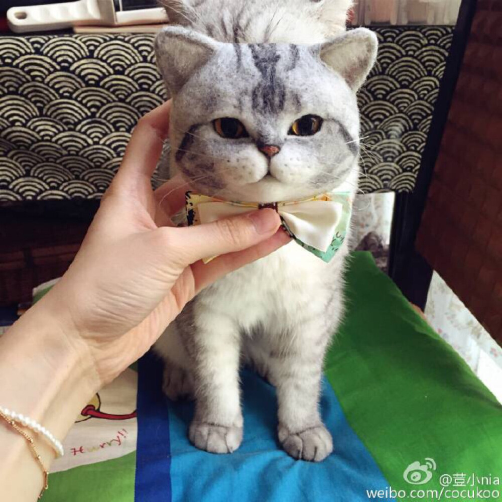 羊毛毡