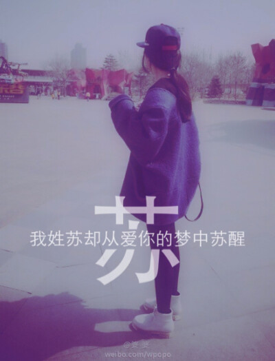 姓氏文字控。苏