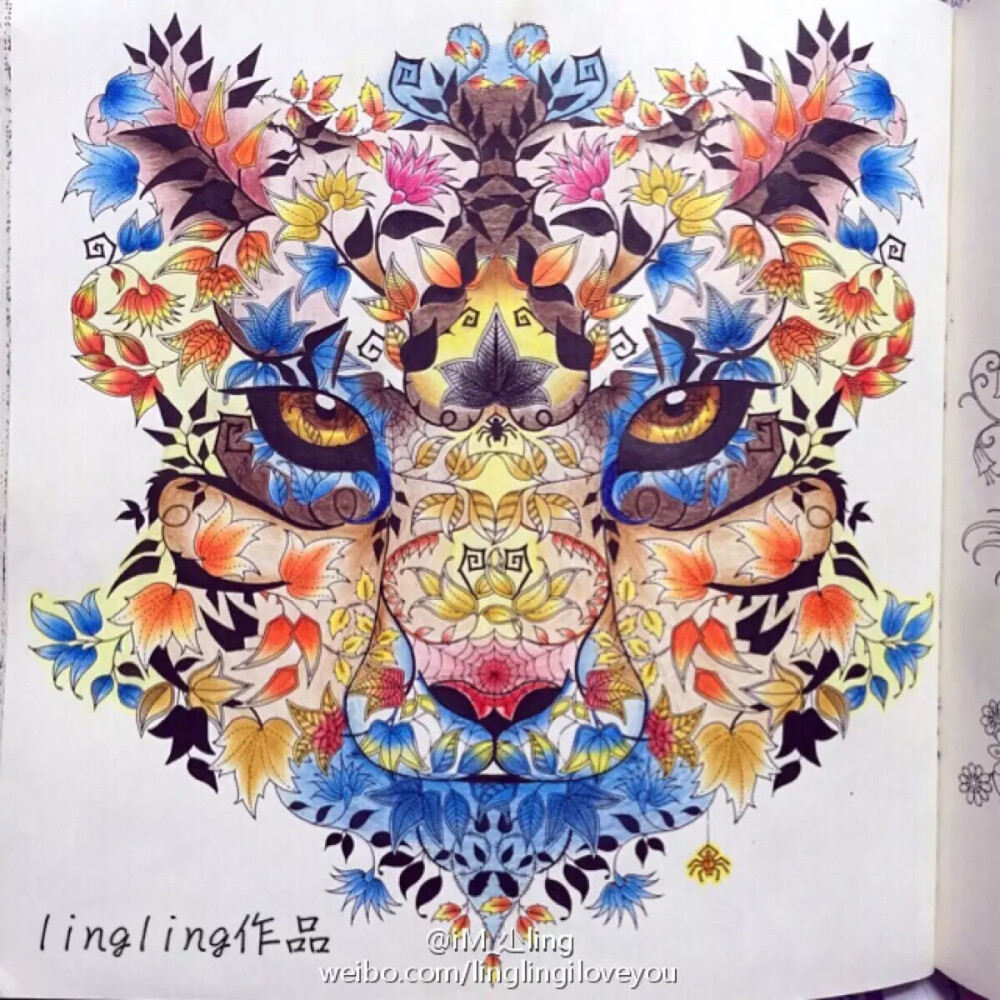 大神们的秘密花园