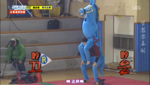 20140126马年吉祥