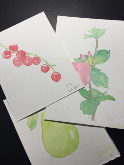 水彩手绘。这两天的练习，深深感觉到完全不行呀…