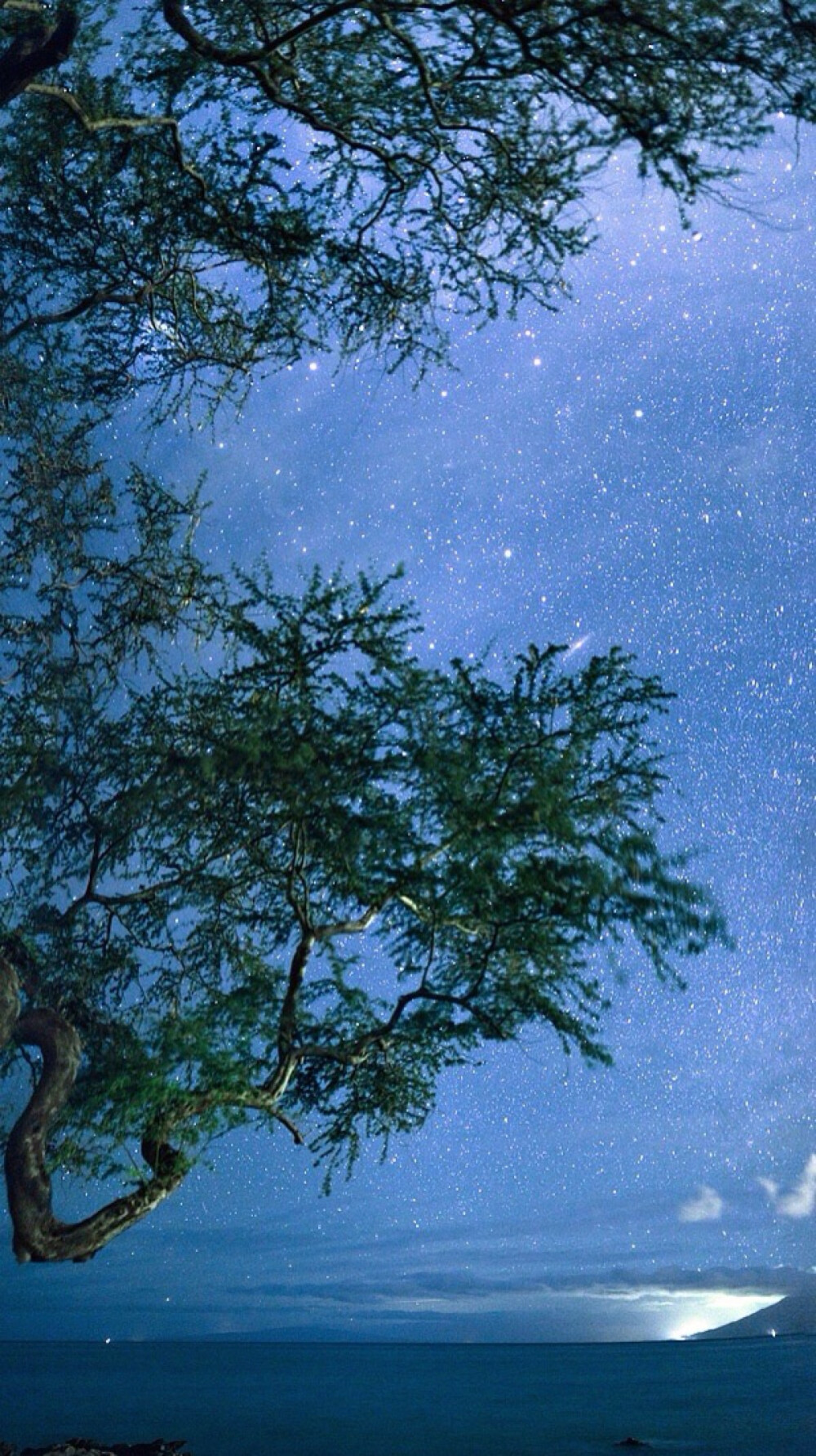 唯美星空 夜景 夜空 星光 自然风景 iphone手机壁纸 唯美壁纸 锁屏