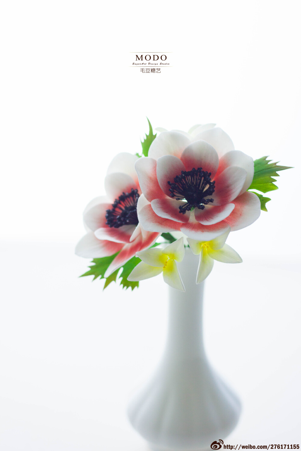 银莲花