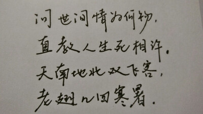 元好问《摸鱼儿·雁丘词》