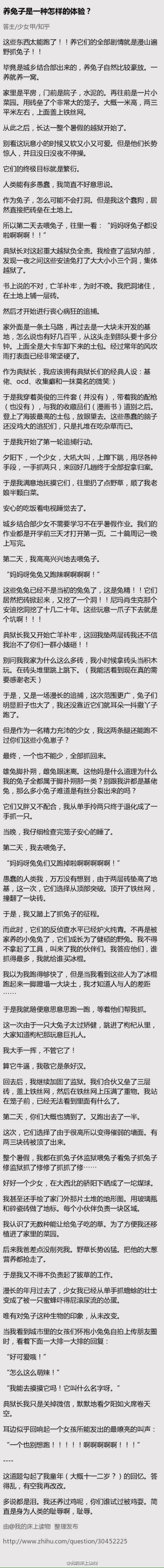 那年、那兔、那事儿