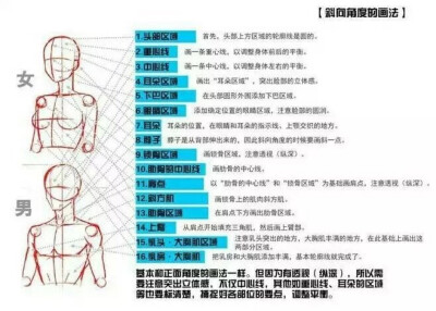 手绘教程