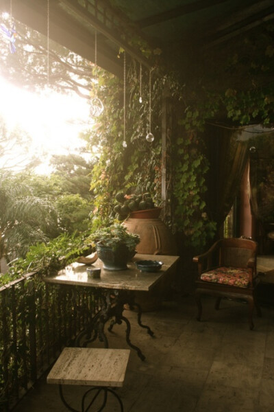 一个爬满植物的阳台 小小的茶几配一把沙发 浅酌一杯小酒