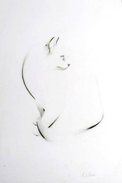 画家Kellas Campbell的作品，猫的姿态——慵懒，寥寥几笔，出神入化！（素描，艺术，绘画，美术，简画）