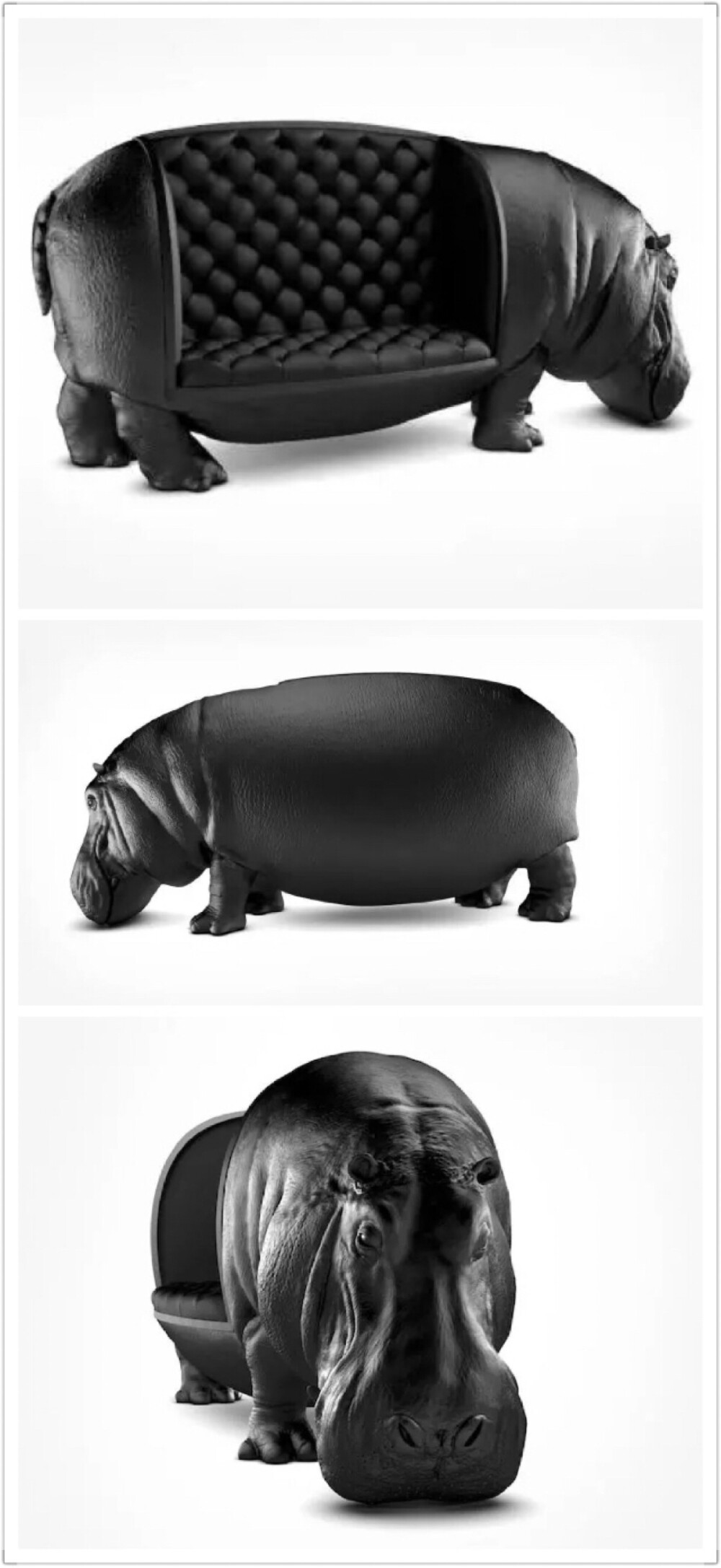 Hippo chair设计师Maximo Riera