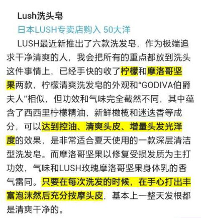 lush洗头皂