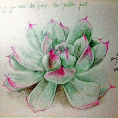 莲之出淤泥而不染，濯清涟而不妖