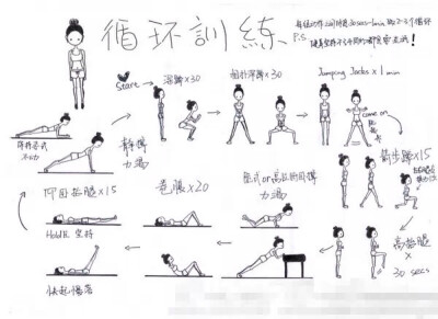 可推荐的循环训练