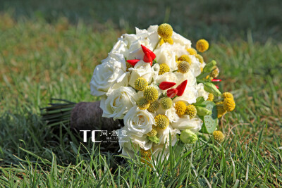 喜结岚李——霄云苑