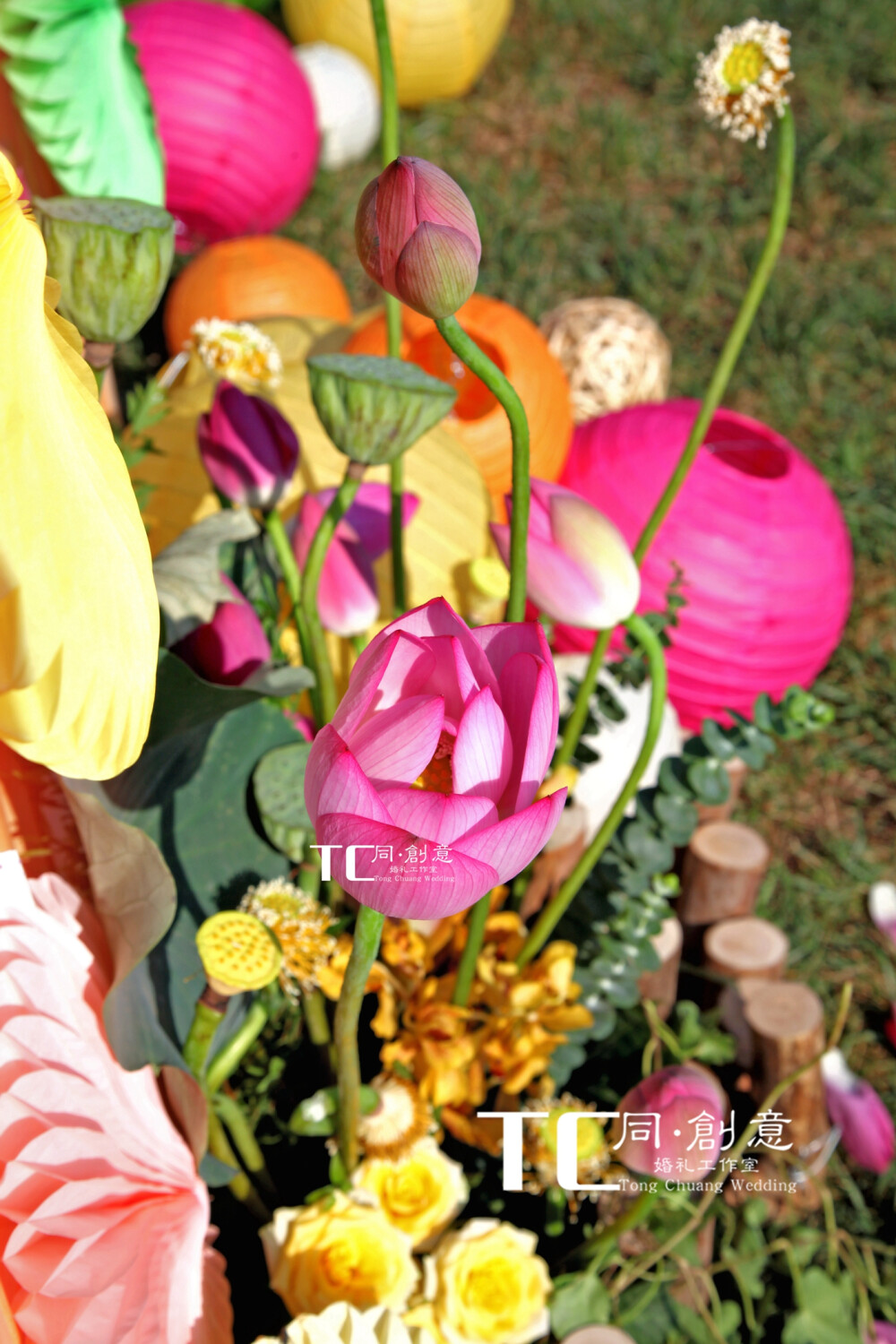 喜结岚李——霄云苑