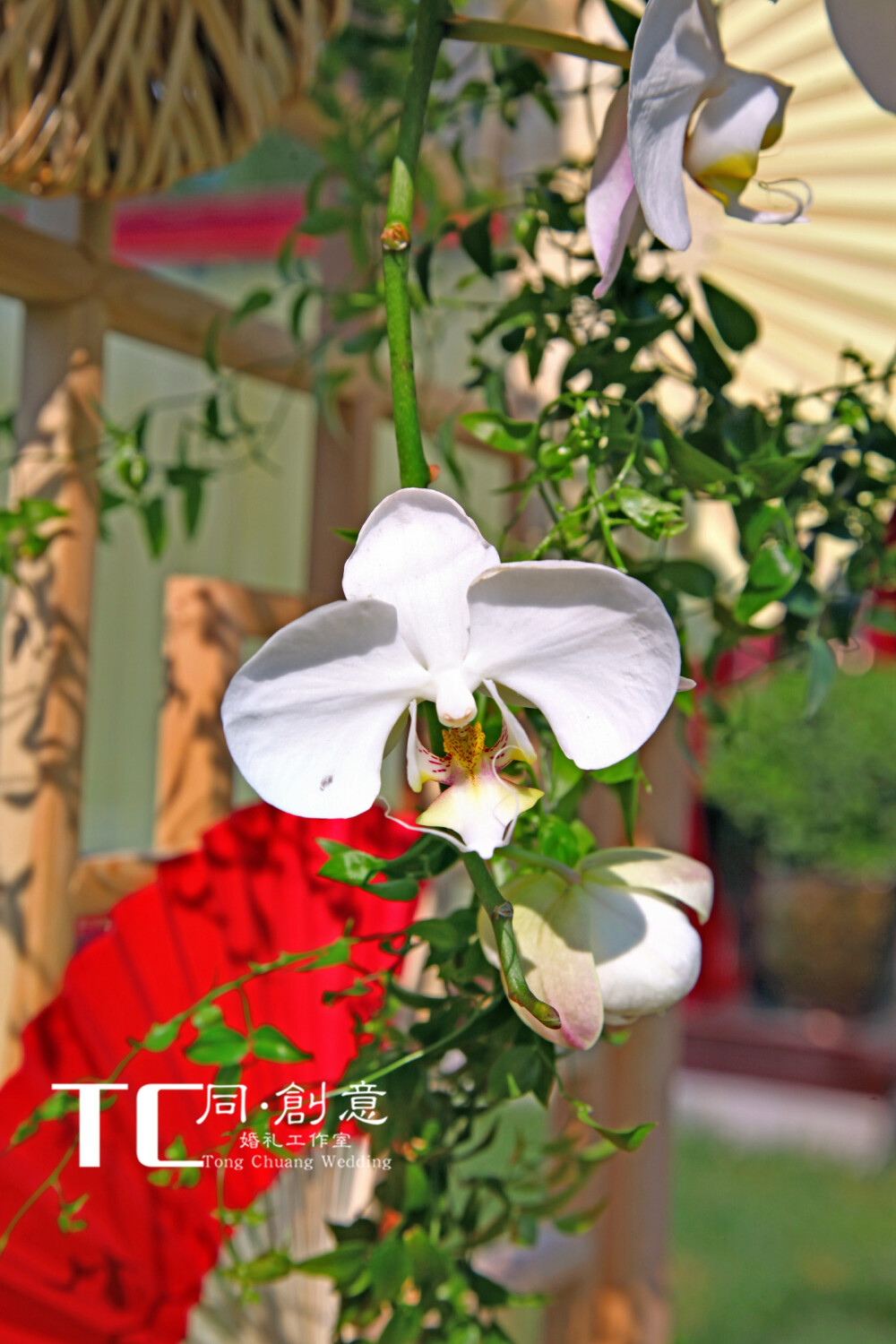 喜结岚李——霄云苑