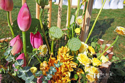 喜结岚李——霄云苑