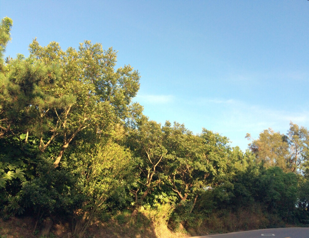 COUNTRY ROAD！此处应该有歌声！其实只是回宾馆的路上不要揭穿好吗嚯嚯嚯我可是个有点儿高大上的摄影师