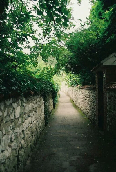 风景壁纸，图是到处盗的