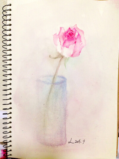 赠人玫瑰，手留余香