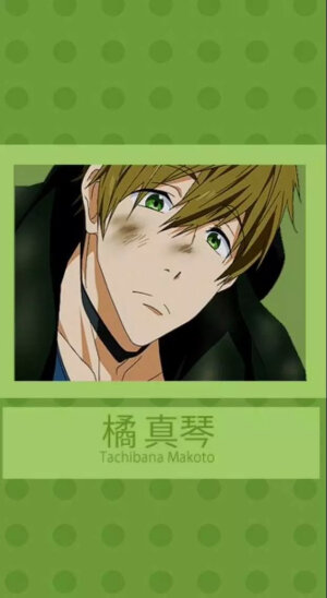 手机壁纸#平铺#橘真琴#free#男子游泳部#大天使一生推