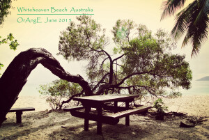 澳大利亚 圣灵群岛 白天堂沙滩