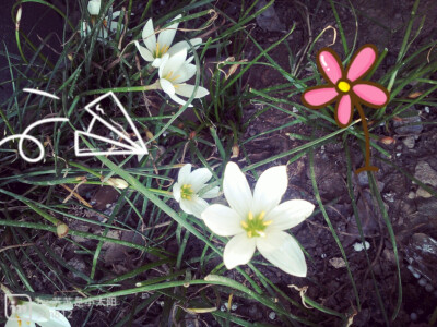 季节。