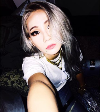 2ne1李彩琳 CL