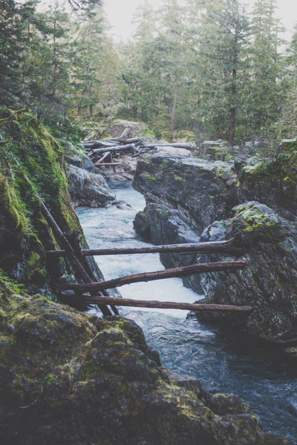 美景 自然 壁纸 小溪 石头 山