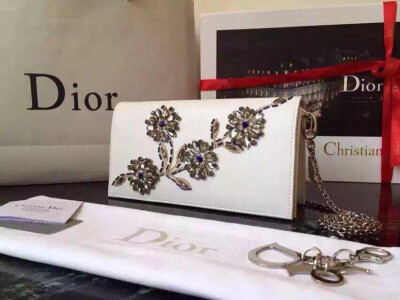 CD Dior秋冬款手包