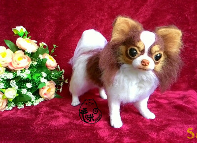 毛咪momi~羊毛毡寵物擬真 Chihuahua 20cm