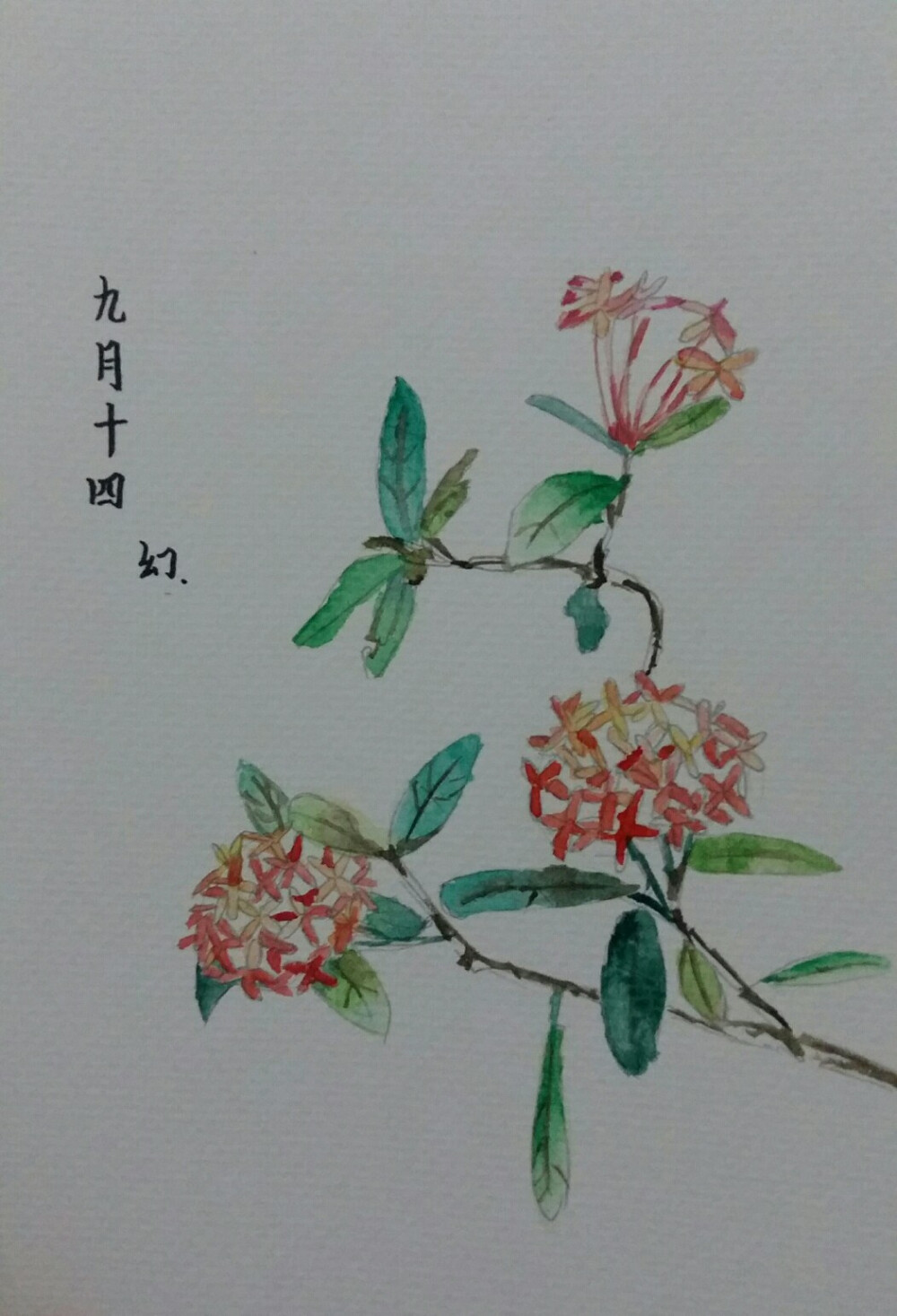 公车站旁的花