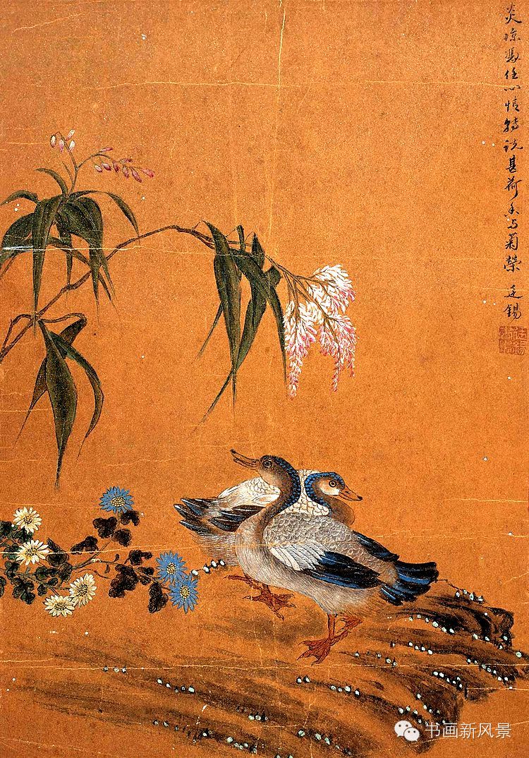 蒋廷锡花鸟南京博物院藏