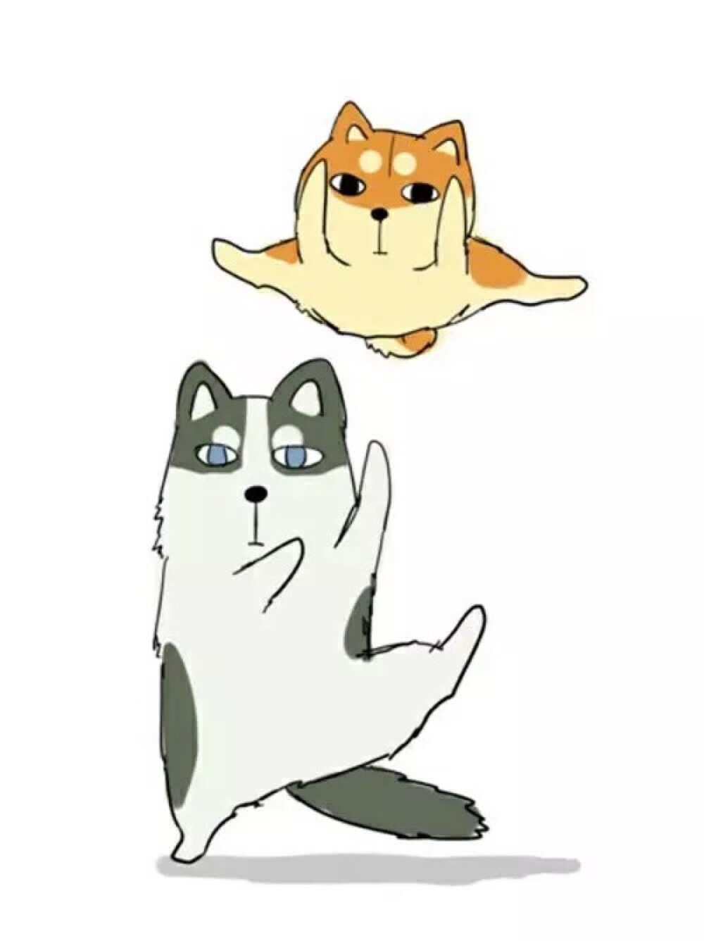 蠢柴和二哈