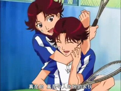 网球王子 菊丸英二