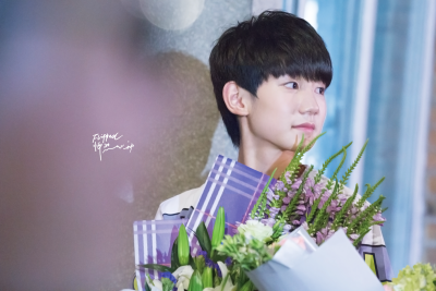 TFBOYS王源 150802 偶像来了 cr：FLIPPED_KR