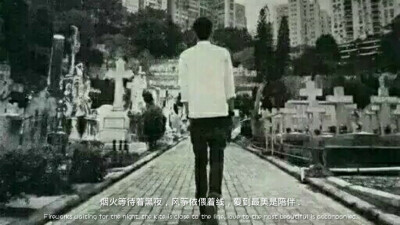 爱到最美是陪伴 .