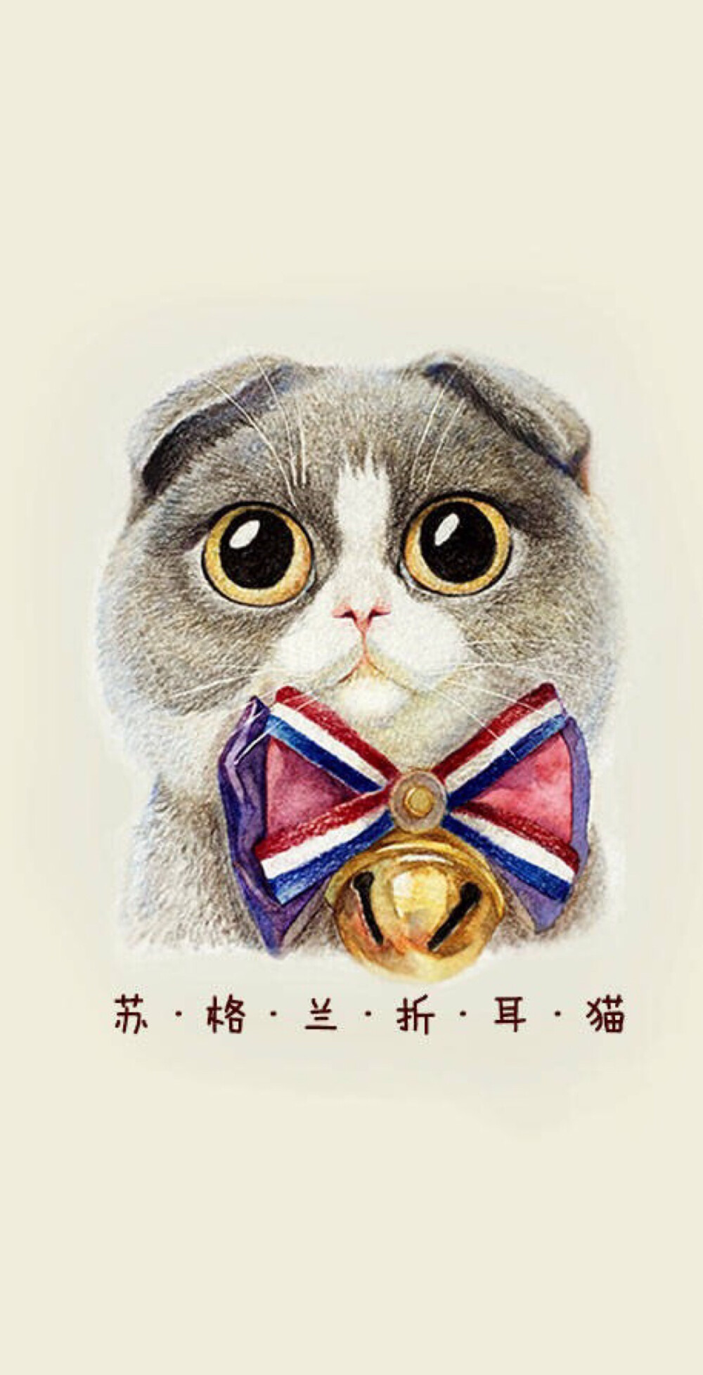 壁纸 头像 锁屏 猫猫 萌