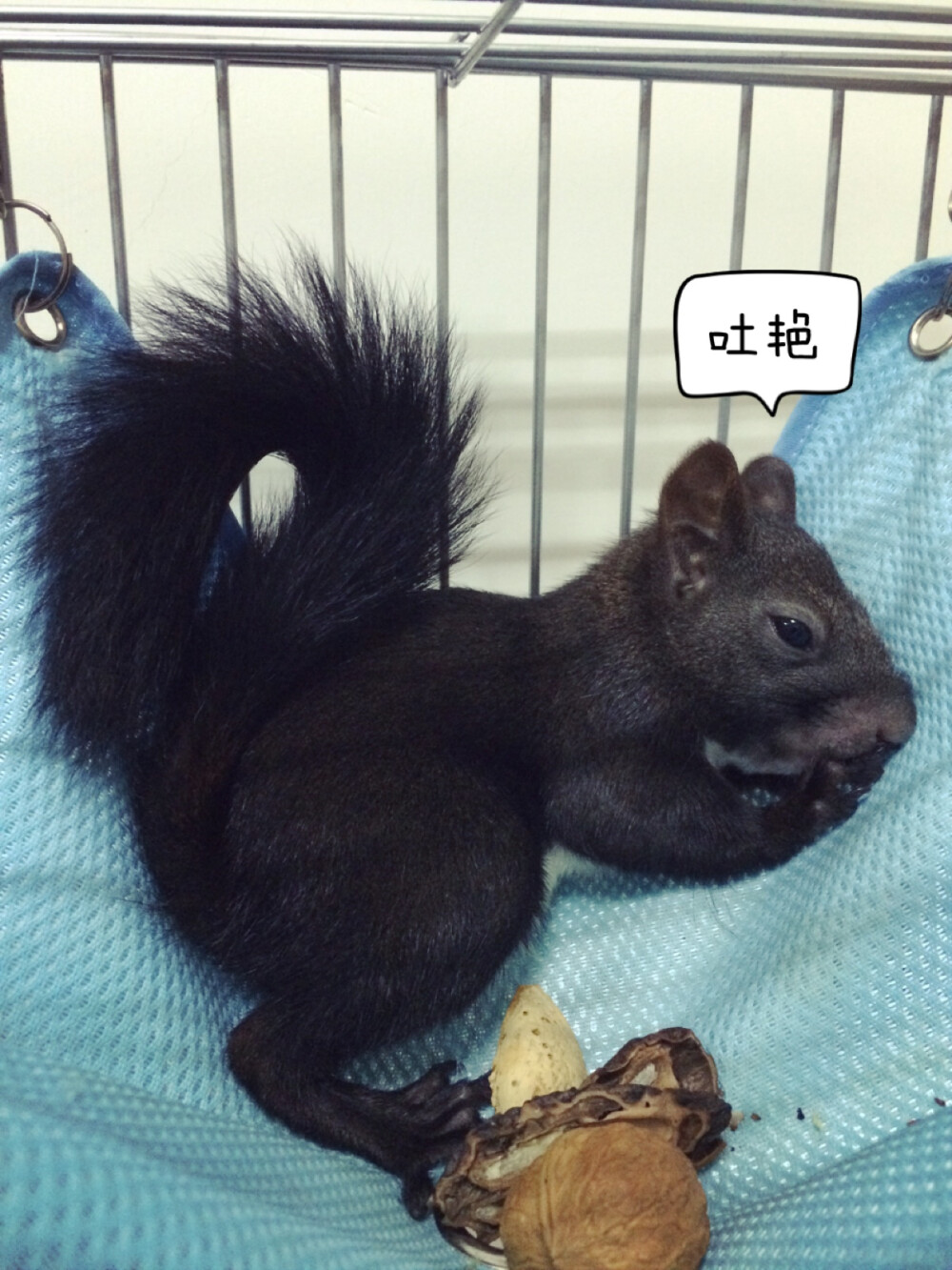 不让睡还不乐意了