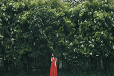 复古 文艺 个人定制写真 黑白 灰色调 大檐帽 条纹 波普风 欧美风 日系 乡间小道 忧伤 一个人 人像 写真 时尚 大片 杂志 长发 流年 玫瑰 红唇 唯美 浪漫 爱丽丝