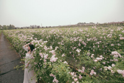 复古 文艺 个人定制写真 黑白 灰色调 大檐帽 条纹 波普风 欧美风 日系 乡间小道 忧伤 一个人 人像 写真 时尚 大片 杂志 长发 流年 玫瑰 红唇 唯美 浪漫