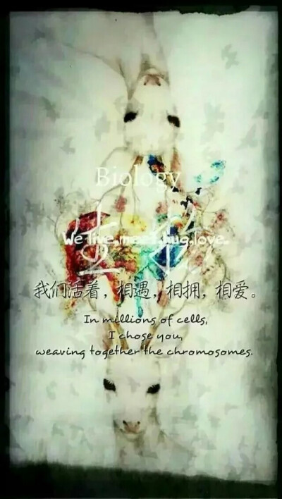 用生物说我爱你