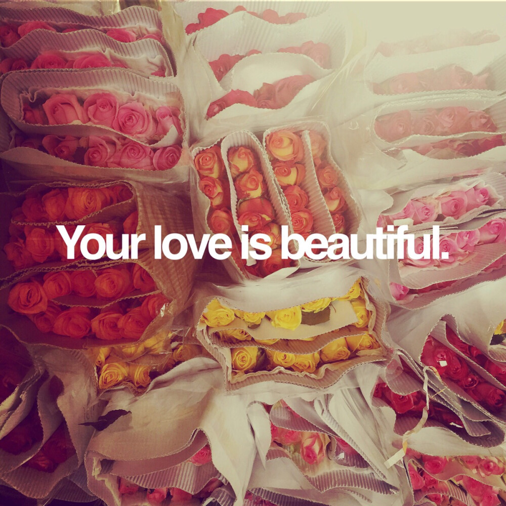 love is beautiful