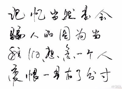 记忆当然是会骗人的，因为我们想念一个人，爱恨一早有了分寸。——郑执