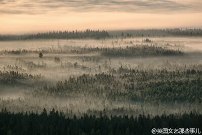 迷雾森林，坐标芬兰｜摄影：Tiina Törmänen