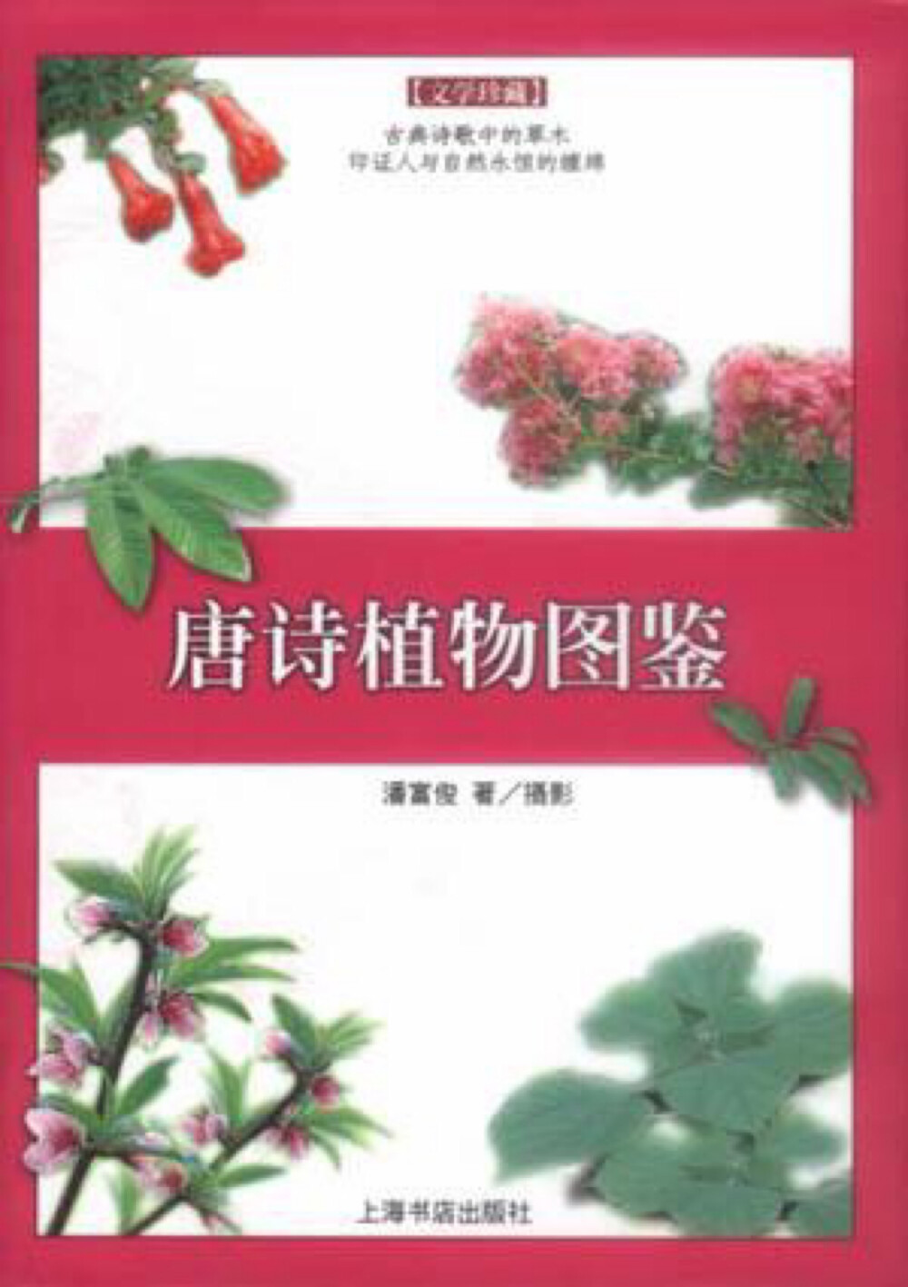  本书以自然科学与古典文学邂逅的创意，把彩色图解工具书的制作技术应用到中国古典文学领域，以清楚的解说和清晰的照片，介绍了唐诗中的诸多植物。让国人在领略中国传统的古诗意境的同时能形象地看到涉及的各种植物，丰富了植物学的知识。在大量以图配唐诗的读物推向市场的状况下，本书以植物图作为一个新的切入点，为文字与图相结合的图书制作提供了新范本。 本书作者系植物学家，同时对古典文学又颇为精通，故能成此创新。