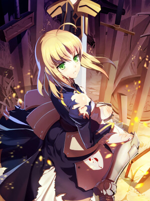 fate 吉尔伽美什 saber 双王 lencer