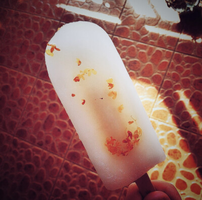 秋日前最后一根冰棍•sweet BY：Ulrica洛言珏