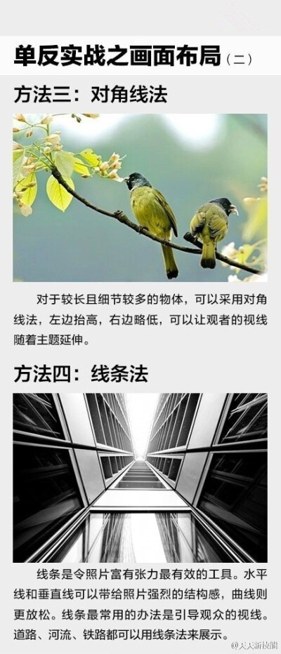 听说你有个单反，但是还不太会用？！！