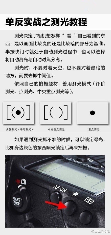 听说你有个单反，但是还不太会用？！！